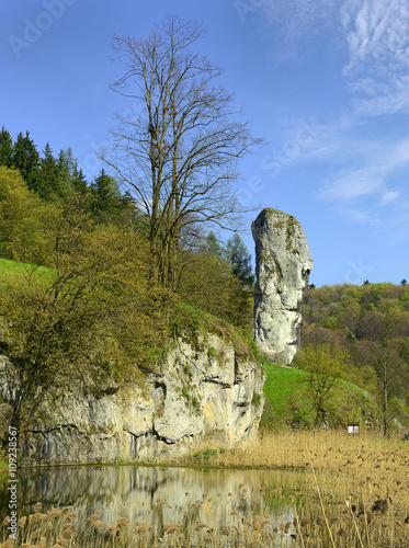 Rock called Hercules Club, limestone cliff in valley of river Pradnik, Ojcow National Park near Krakow in Poland
