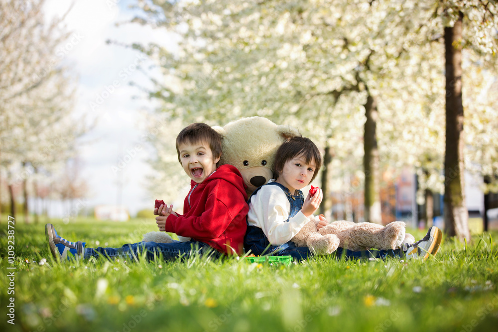 Fototapeta premium Two cute little children, boy brothers, eating strawberry in the