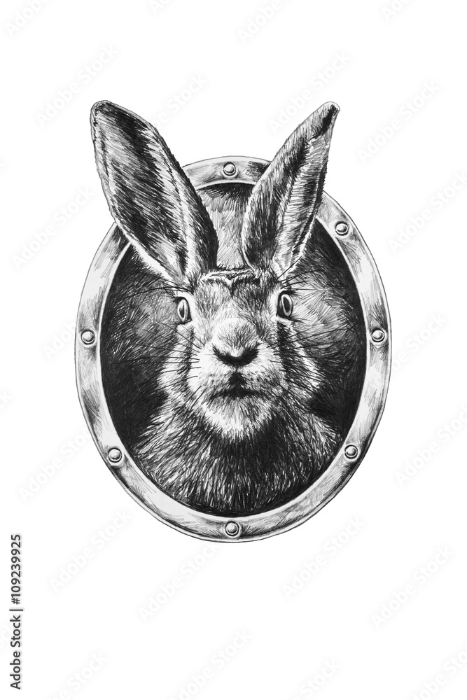 Naklejka premium Pencil drawing of a rabbit in a frame, isolated on a white background.