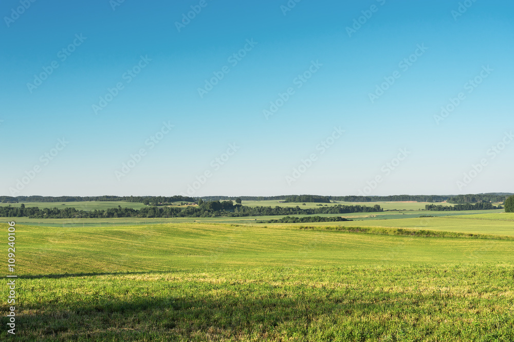 Fototapeta premium Green fields.