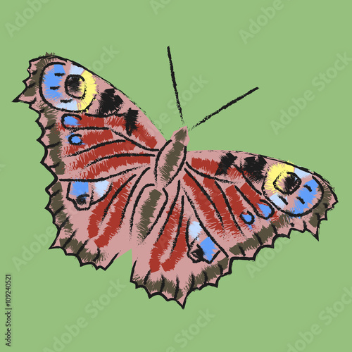 butterfly