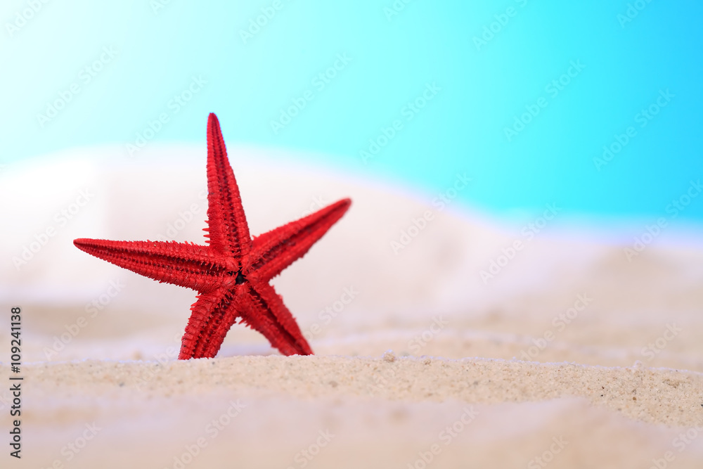 Starfish On Sand