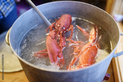 Boiling lobsters