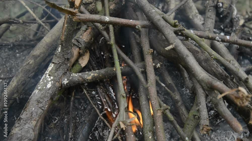 Burning wood, campfire macro video, close up of burning forest Burning wood, campfire macro video, close up of burning forest