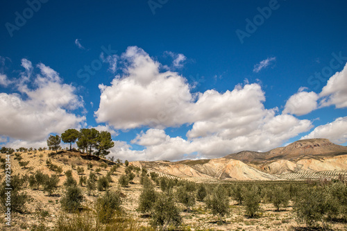 Hills of Andalusia  Spain