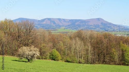Landscape of beskydy mountains in spring with blooming cherry tree at the foreground