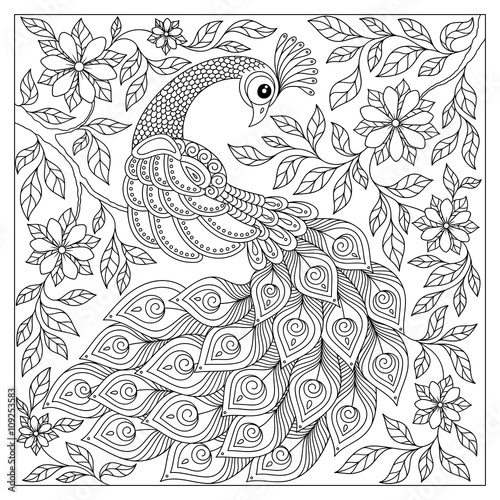 Vintage hand drawn pattern black and white doodle peacock.