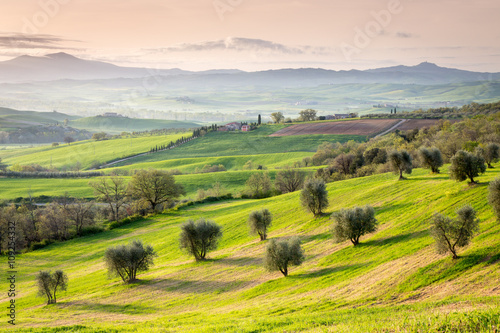 Tuscan landscape at sunrise near San Quirico d´ Orcia, Tuscany, Italy © Selitbul