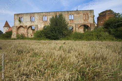 Cistercian Abbey in Sulejow
