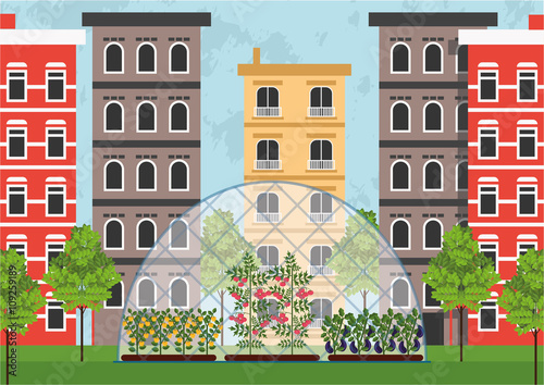 Greenhouse in the city like an example of urban farming or urban gardening