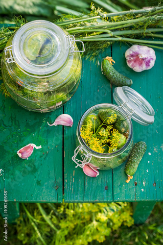 Photography Closeup of preparation for homemade gherkins