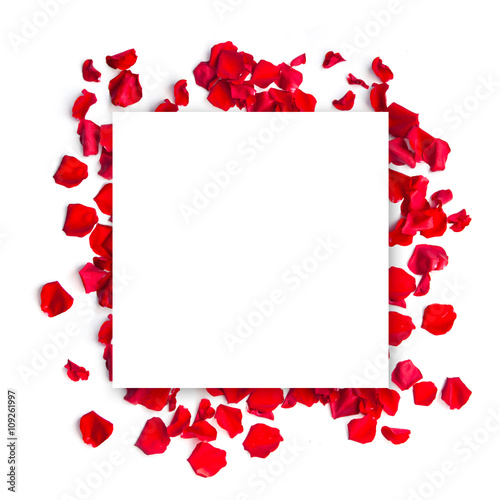 Romantic red rose petals square background