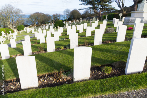 Backs of war graves, military cemetery.