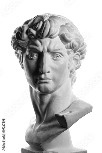 gypsum head of Michelangelo's David isolated over a white background