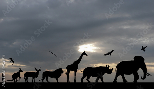 Silhouettes of animals on sea sunset with grey cloudy sky background