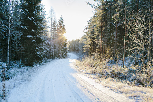 View of forest road in winter photo