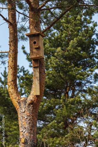 Birdhouse made of boards nailed to the pine tree. Preparing for