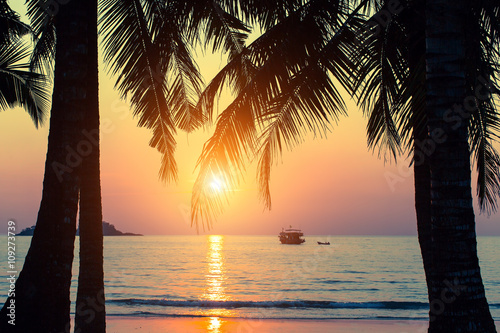 Tropical seashore, silhouettes of palm leaves during an amazing sunset.