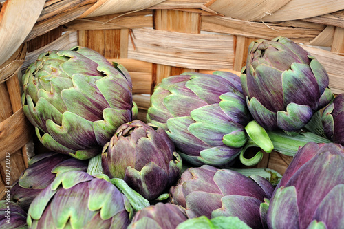 Roman artichokes in wicker basket close