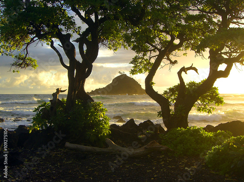 Beautiful Hawaiian sunrise with island and trees on Maui shore - landscape color photo