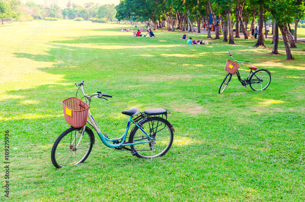 Fototapeta premium Bicycle on green grass in the park