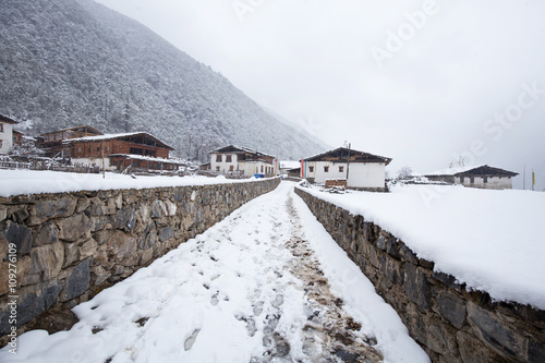 Country in snow photo