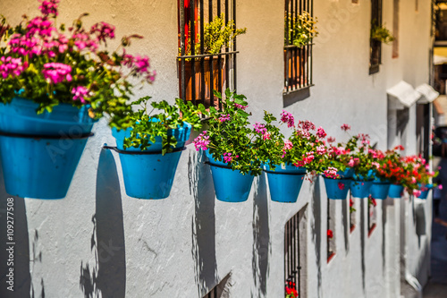Street with flowers in the Mijas town, Spain