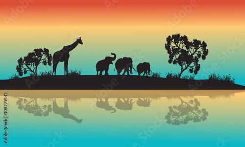 Silhouettes of african animals in morning