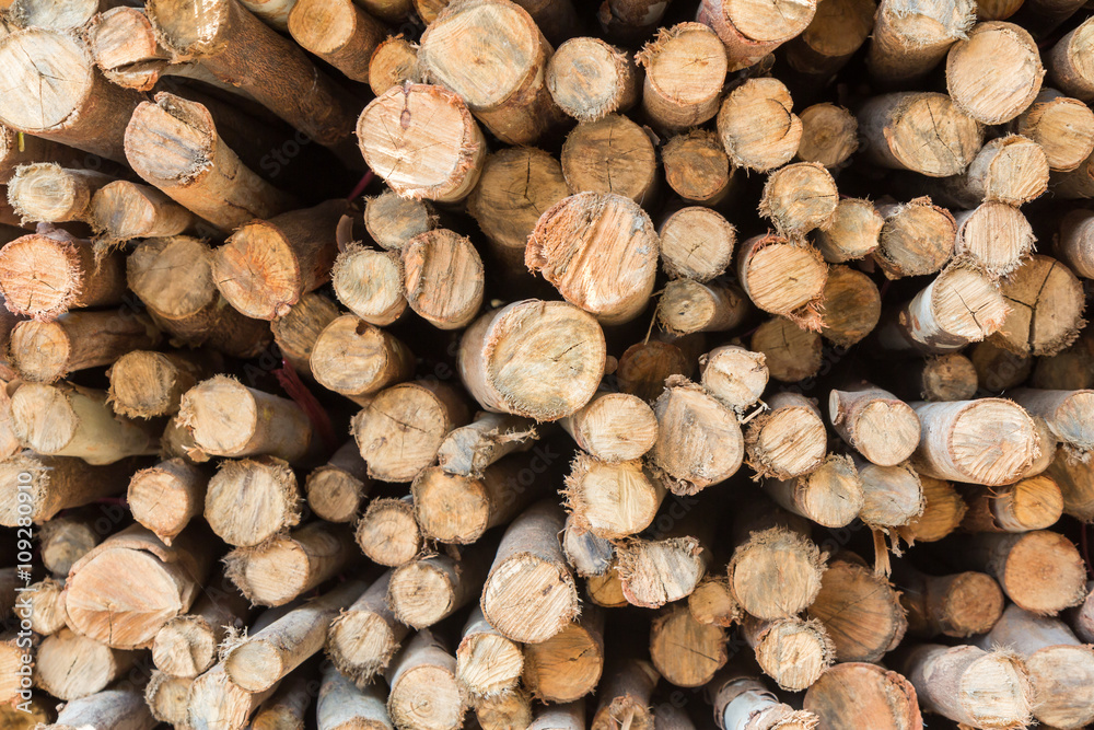 Stock of eucalyptus logs in a lumber yard Stock of eucalyptus logs in a lumber yard