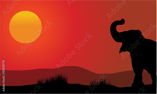 Fototapeta Naklejka Na Ścianę i Meble -  Silhouette of elephant at sunset with sun