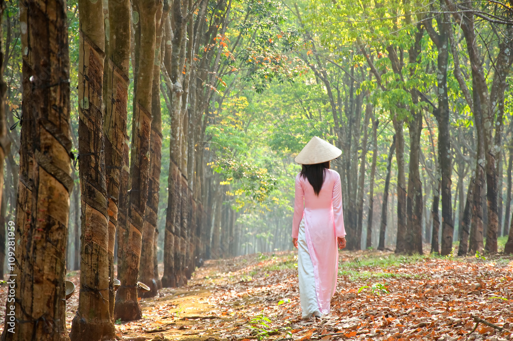 Vietnamese traditional dress (ao dai), Vietnam Stock Photo | Adobe Stock