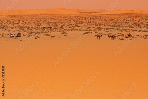 Colorful desert landscape on a sunset with off-road safari cars 