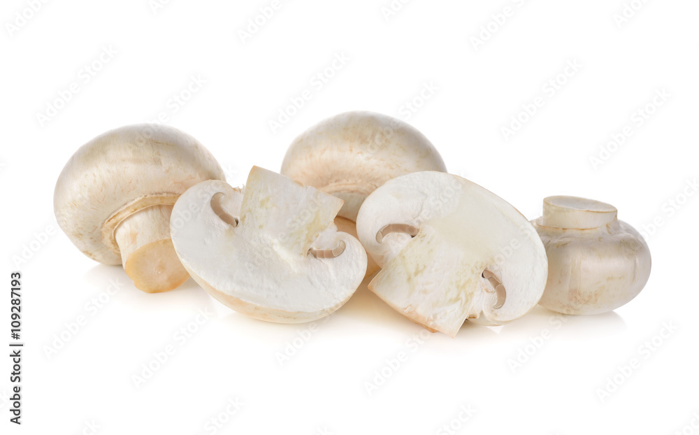 Champignon mushroom on white background Champignon mushroom on white background