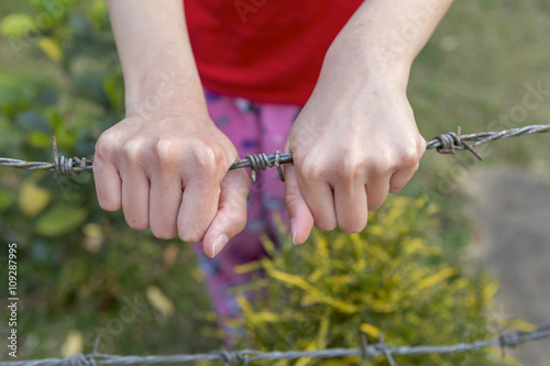 Girl hands holding wire fence 