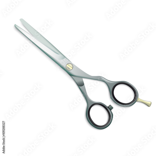 Scissors White Background