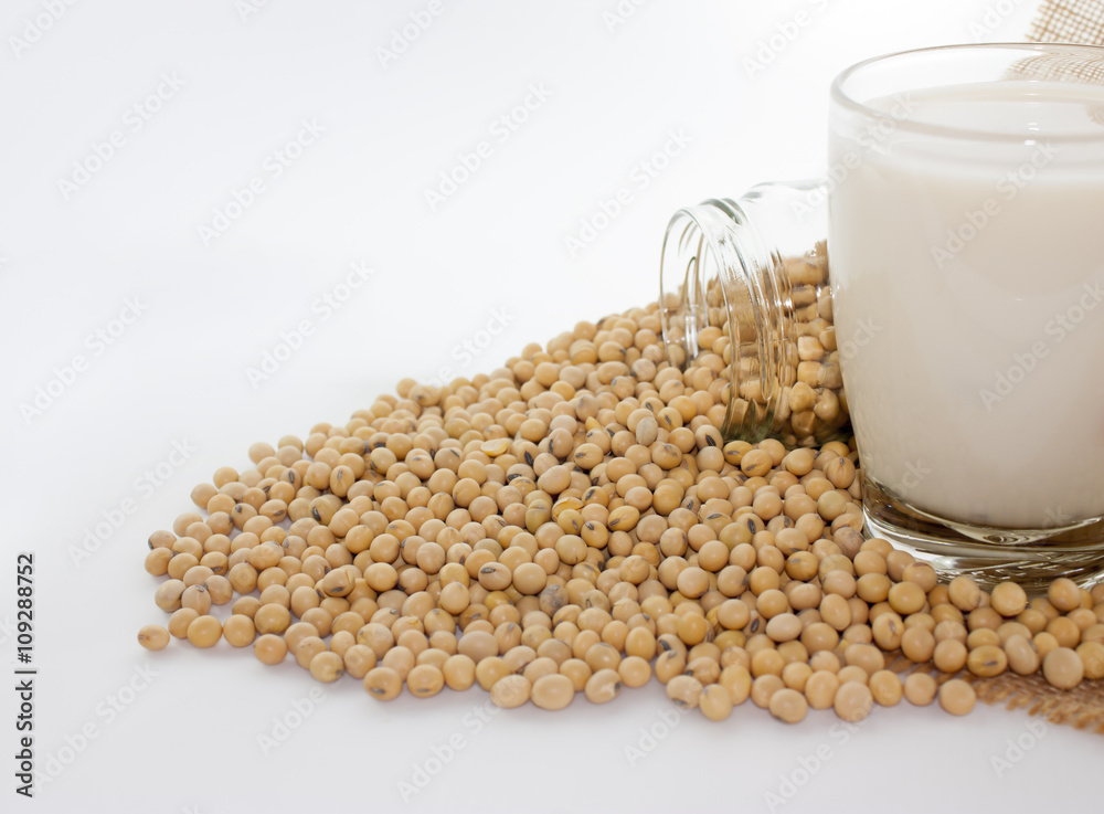 closeup is some soybeans in glass Jar and soy milk with sack background closeup is some soybeans in glass Jar and soy milk with sack background