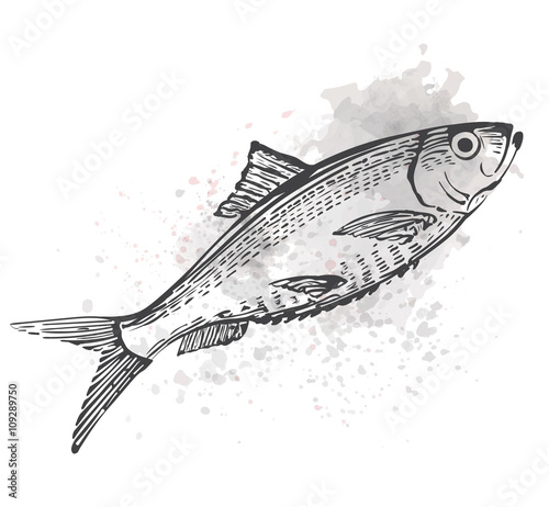 Fish hand drawn ink water splashes