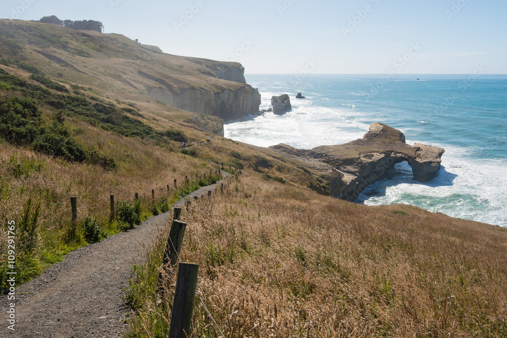 Pacific ocean coast with path down to the Natural arch at Tunnel beach, Dunedin, New Zealand