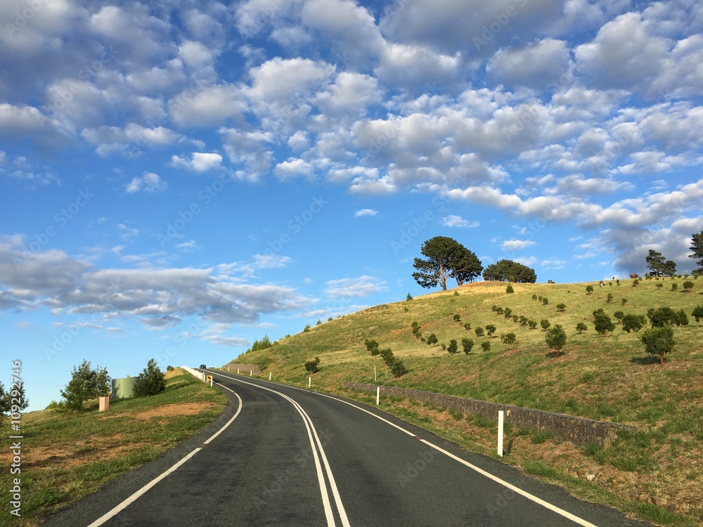 Fototapeta premium The road to the dairy farmer's hill in Canberra
