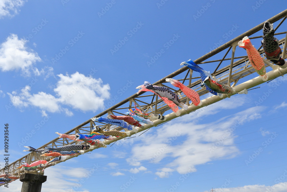 japanese carp streamer japanese carp streamer
