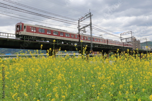 japanese train and masterd field