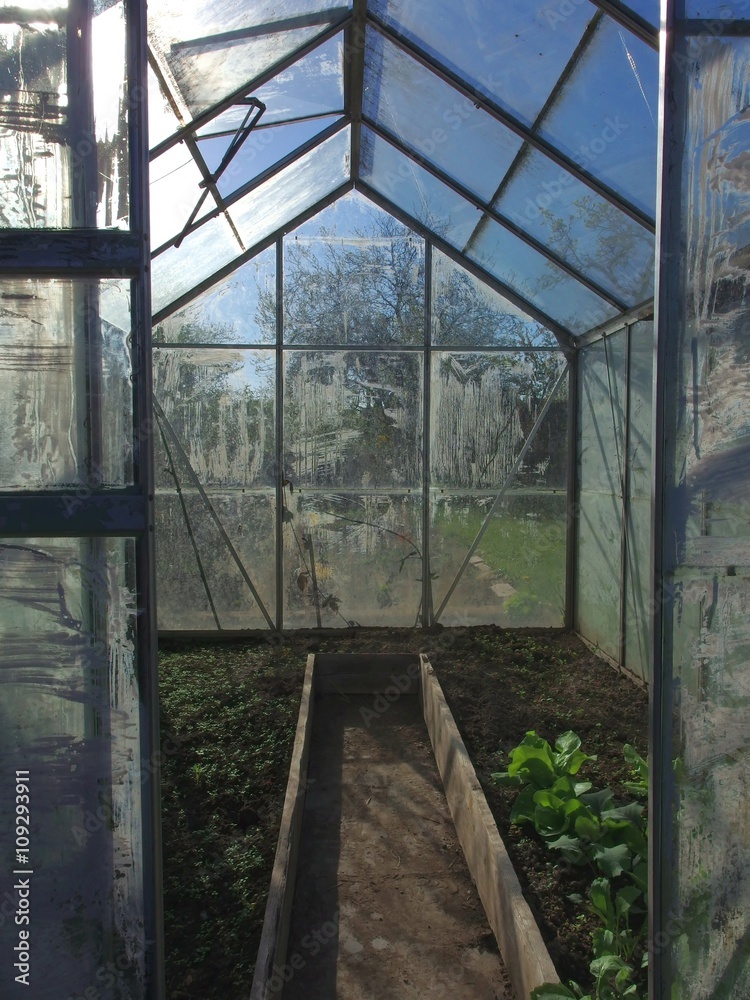 View to the inside of hothouse with growing plants View to the inside of hothouse with growing plants