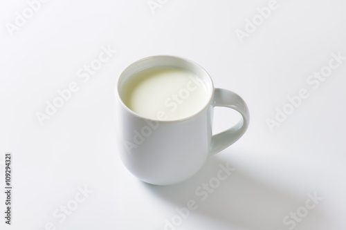 Mug of fresh milk