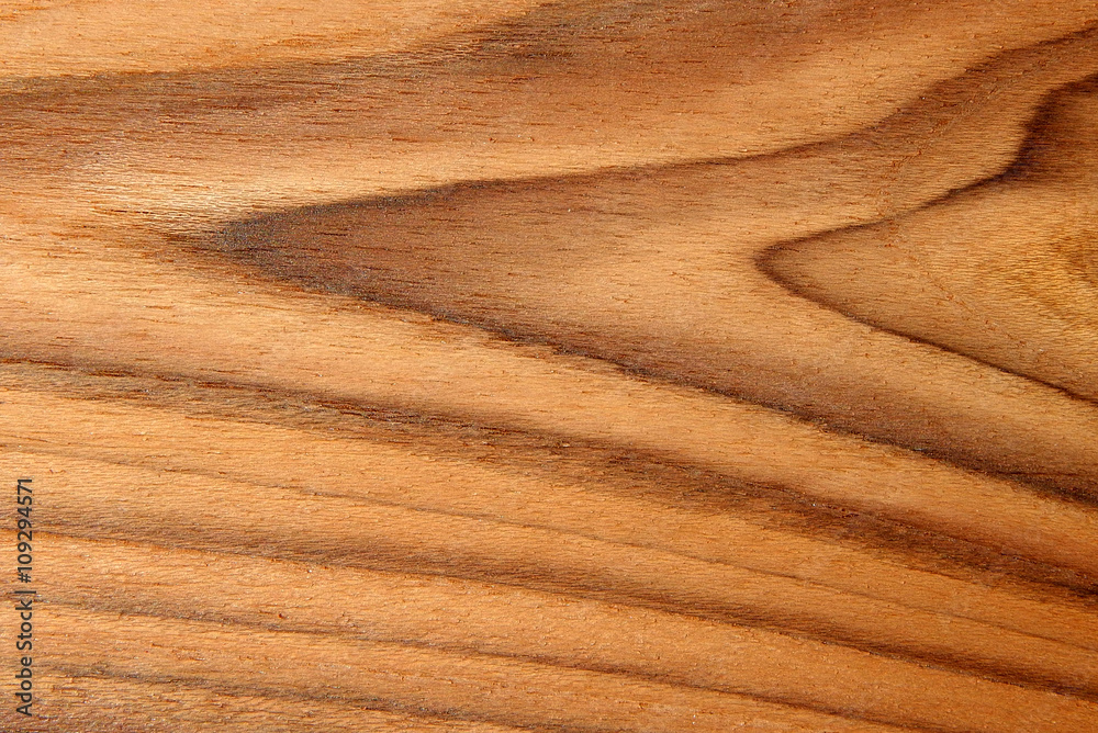 Closeup of wood texture Closeup of wood texture