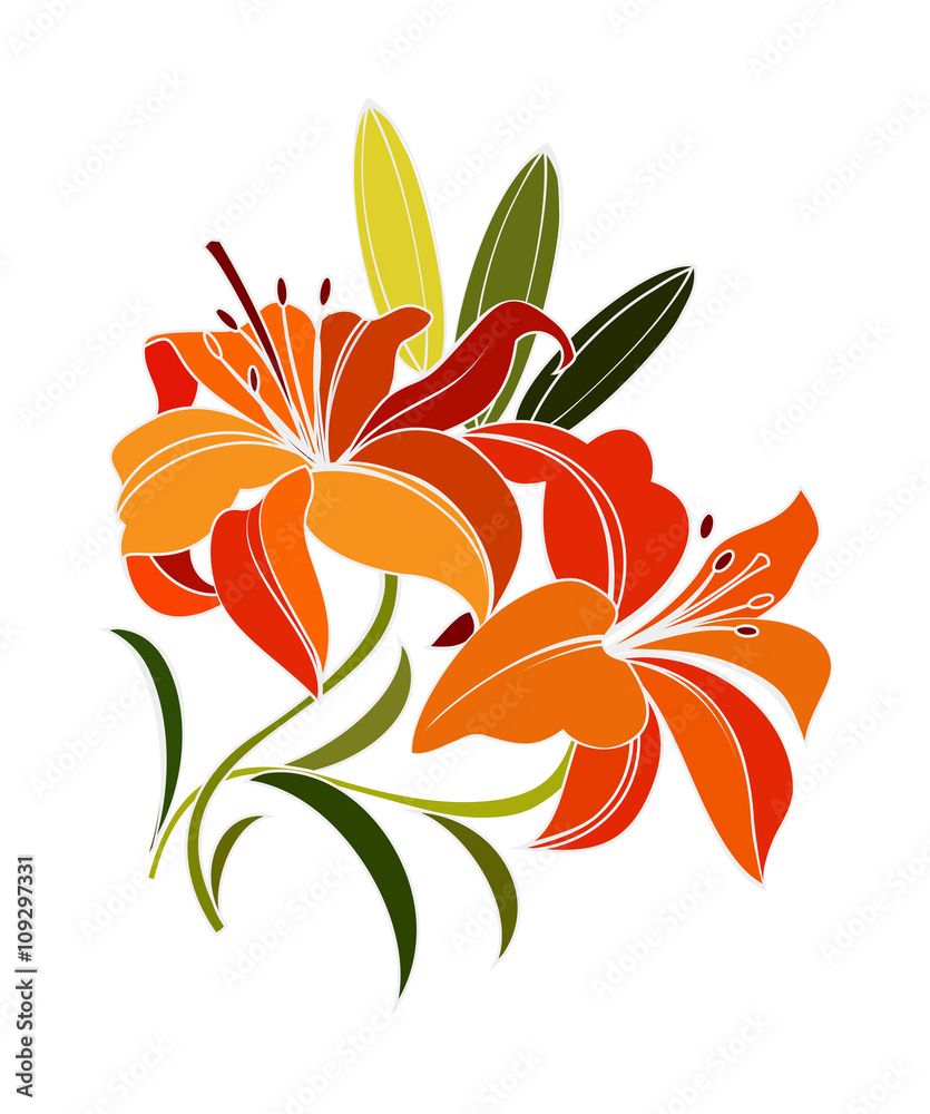 scarlet lily flower