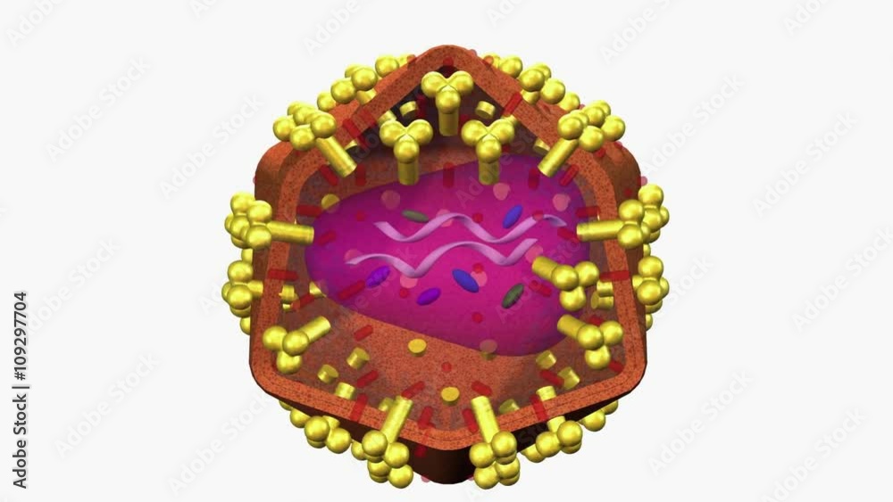 HIV virus animation