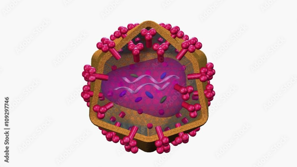 HIV virus animation