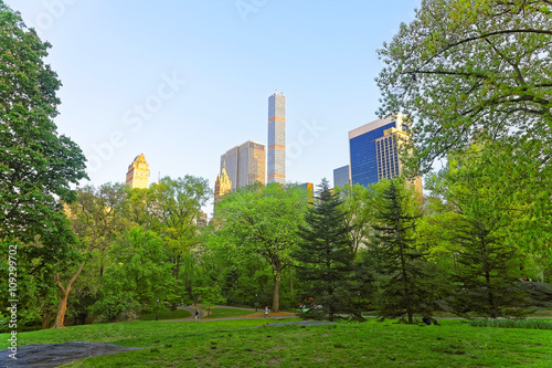 Green trees and Midtown Manhattan viewed from Central Park South