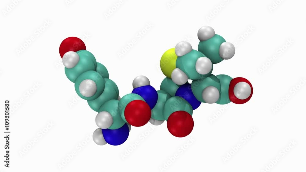 Animation of penicillin antibiotic