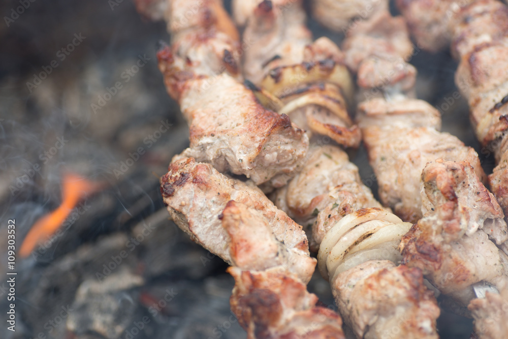 Kebabs on skewers cooked on the coals in the smoke Kebabs on skewers cooked on the coals in the smoke